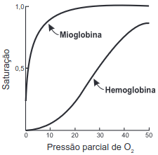 A figura mostra a curva de saturação da hemoglobina e da mioglobina em função da pressão parcial de oxigênio e reflete a afinidade de cada proteína pelo oxigênio