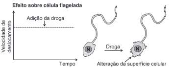 figura do efeito sobre a celula flagelada