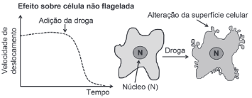 figura do efeito sobre a celula não flagelada