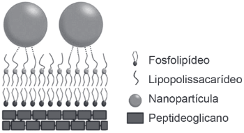 imagem da nanoparticula
