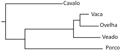figura de uma árvore filogenética de alguns mamíferos