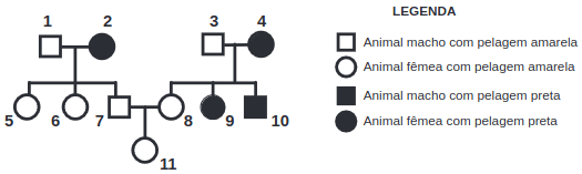 heredograma da questão