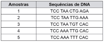 quadro com as amostras