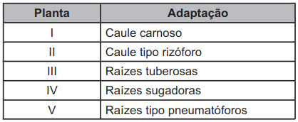 O quadro apresenta exemplos de cinco plantas com diferentes características.