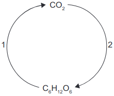 esquema para o enunciado