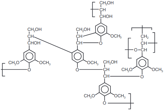 imagem do Fragmento da Lignina