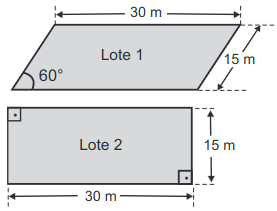 figura com o lote 1 e 2