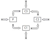 esquema da cadeia alimentar 2