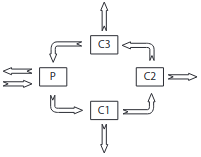 esquema da cadeia alimentar 4