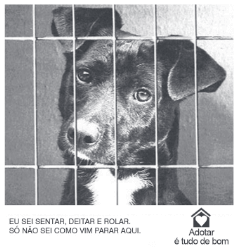 imagem sobre adoção de animais