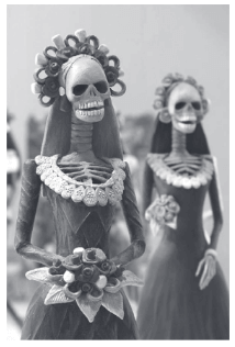 imagem de esqueletos