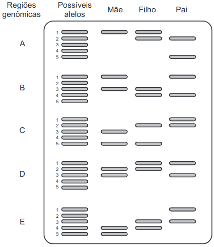 O esquema representa uma eletroforese com cinco regiões genômicas (classificadas de A a E), cada uma com cinco alelos (1 a 5)