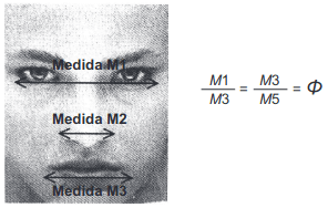 figura com as medidas